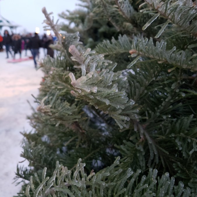 IMG_20181228_174716_853