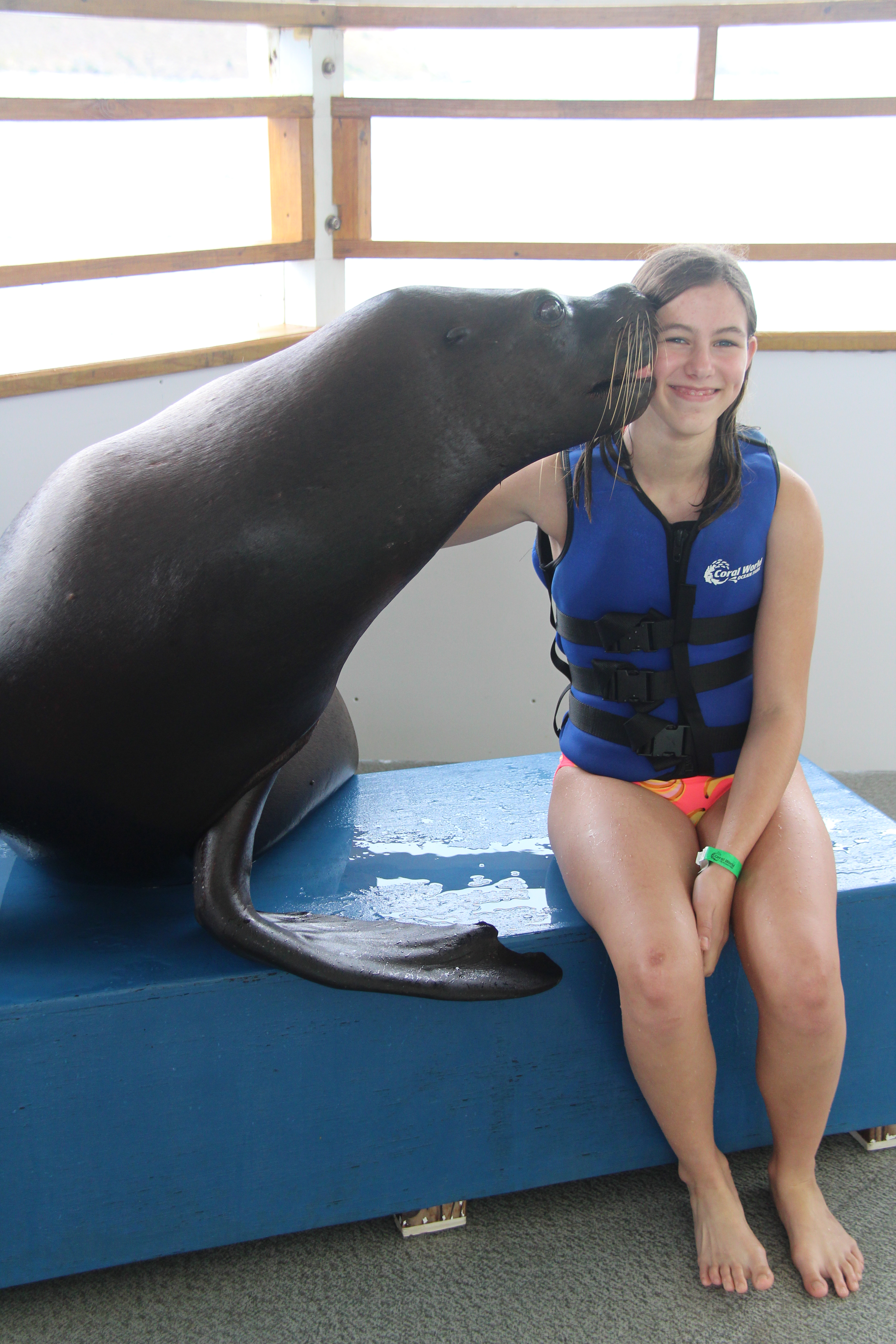 2016-10-25 22.56.28-1