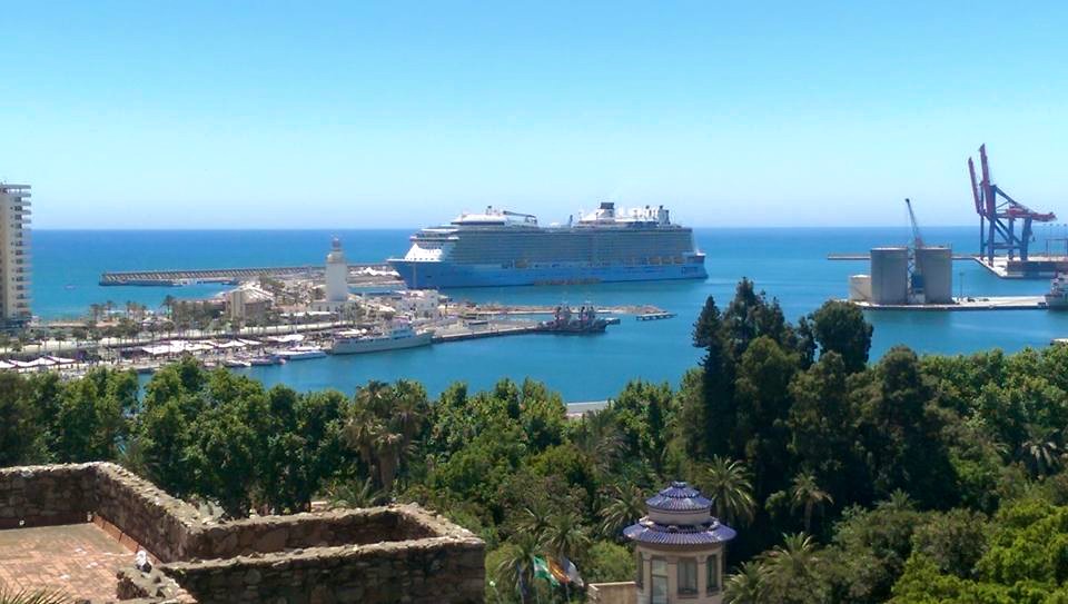 11053395_10206278771065135_1008308765961506885_n