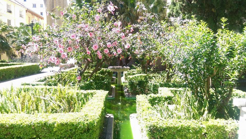 11053395_10206278773705201_6520605065594597865_n