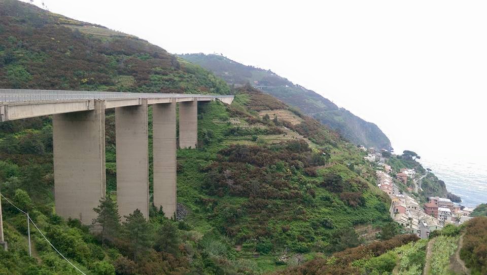 11062796_10206250418676343_5434086544528785200_n