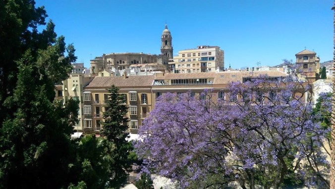 11295719_10206278773425194_8318269951715806487_n