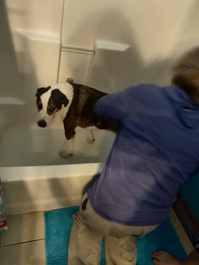 IMG_20200319_134401-1