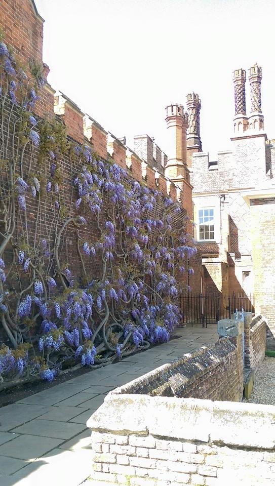 22495_10206180146399580_1759163794757523304_n