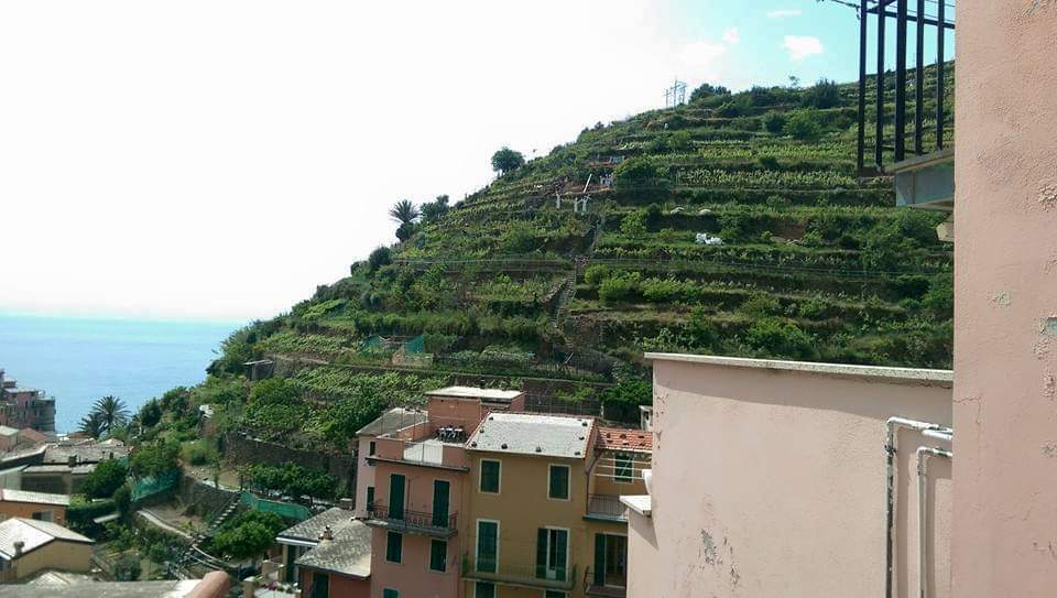 FB_IMG_1589538876078