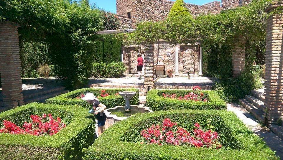 FB_IMG_1589799870419